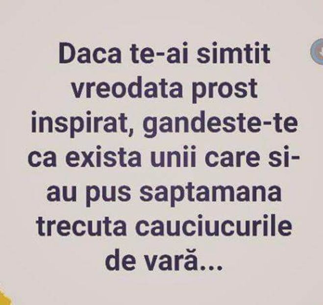  - Poze 2