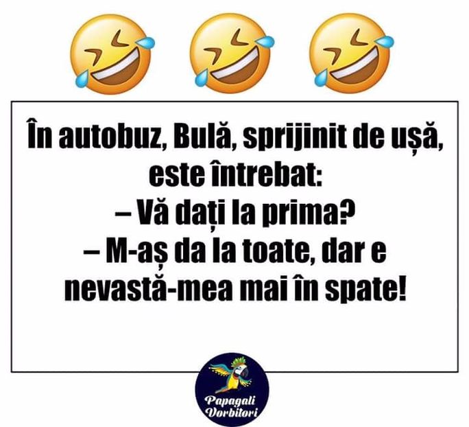  - Poze 2