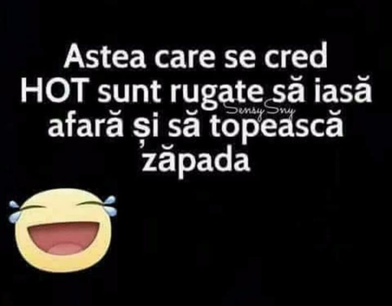  - Poze 2