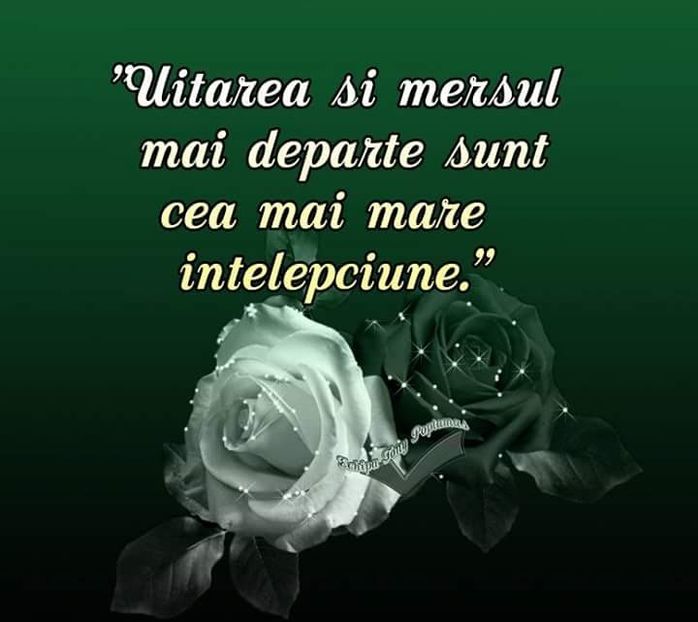  - Poze 2