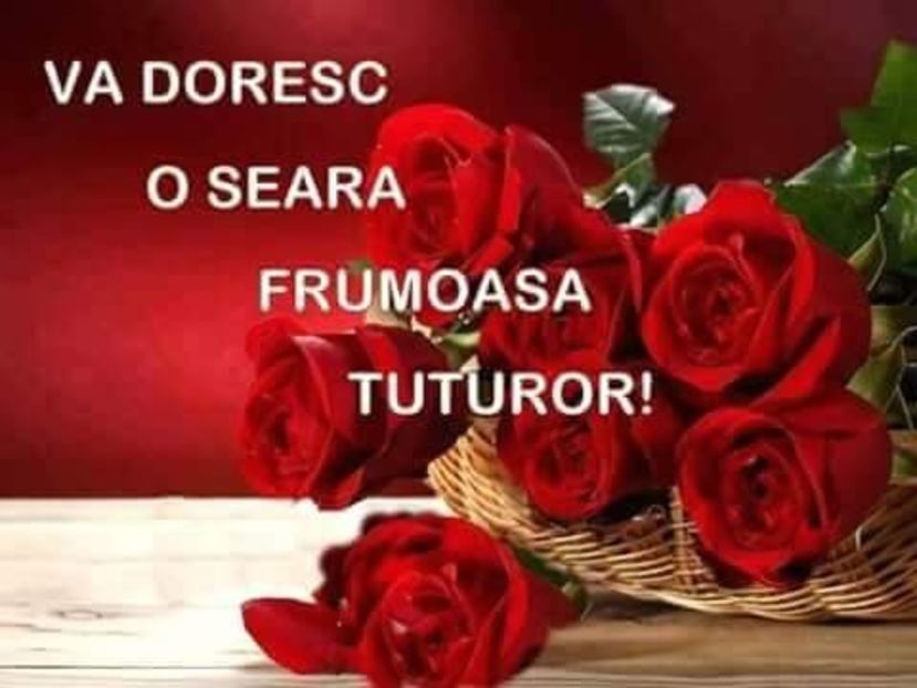  - Poze 2