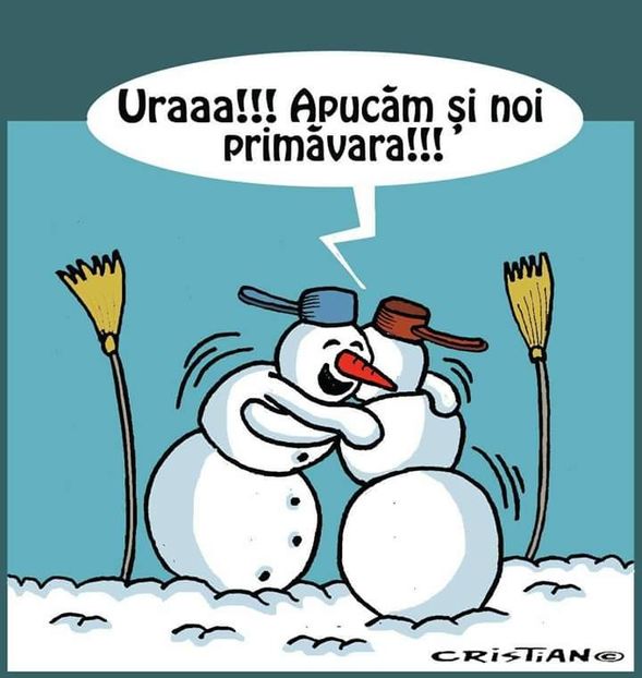  - Poze 2