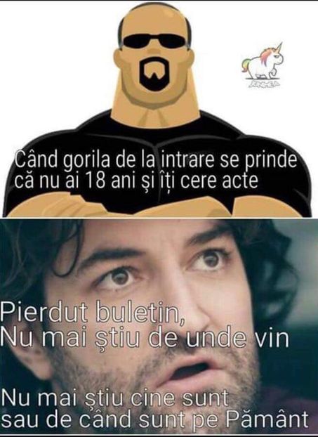  - Poze 2
