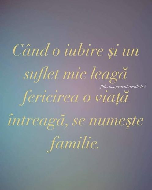  - Poze 2