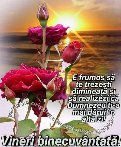  - Poze 2