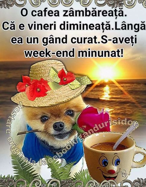  - Poze 2