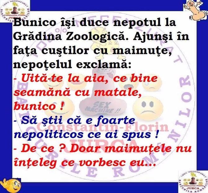  - Poze 2