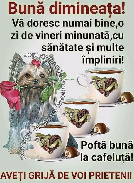  - Poze 2