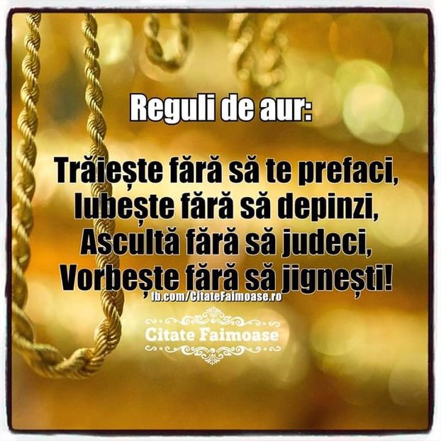  - Poze 2