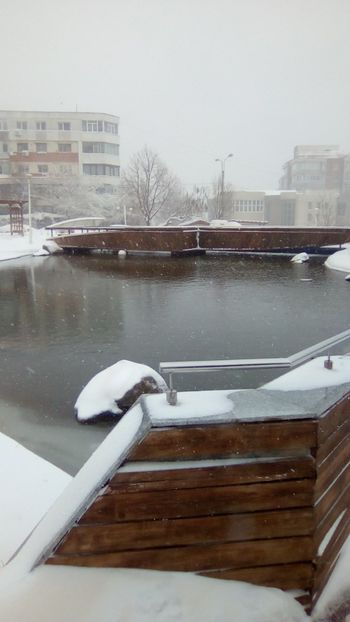 IMG-20180323-WA0069 - Capricioasa iarna