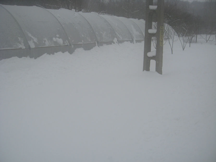  - IARNA 23 MARTIE 2018 PLOPU-AMARASTI