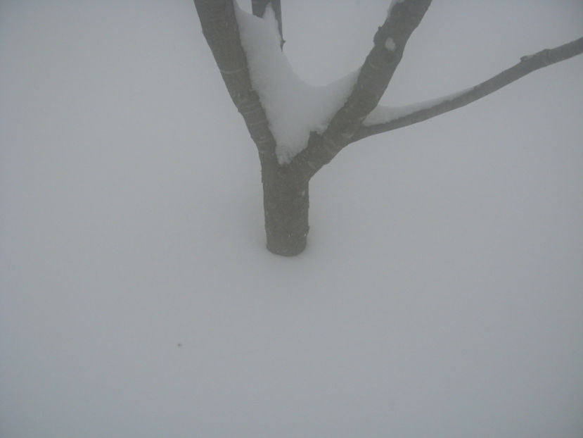  - IARNA 23 MARTIE 2018 PLOPU-AMARASTI