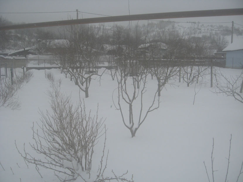  - IARNA 23 MARTIE 2018 PLOPU-AMARASTI