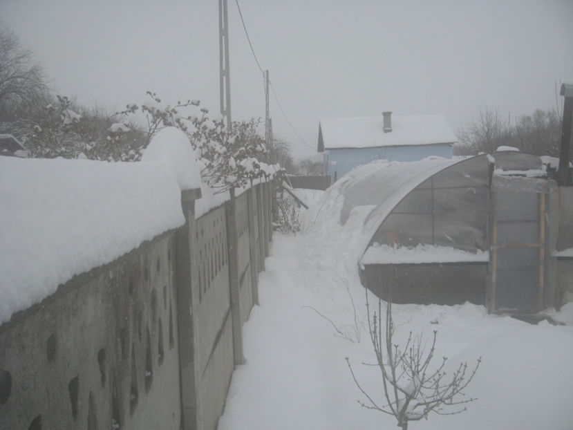  - IARNA 23 MARTIE 2018 PLOPU-AMARASTI