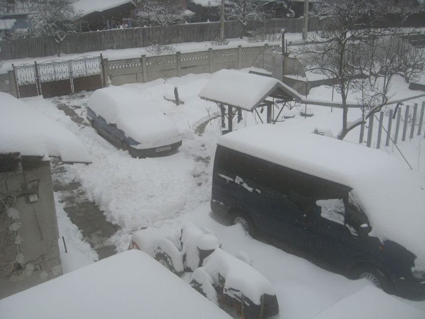  - IARNA 23 MARTIE 2018 PLOPU-AMARASTI