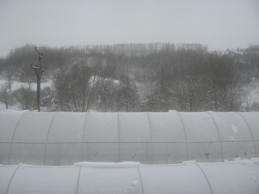  - IARNA 23 MARTIE 2018 PLOPU-AMARASTI