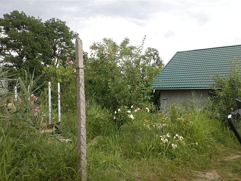 IMG-20180202-WA0068 - Gradina 2017