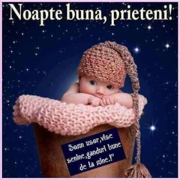 - Poze 2