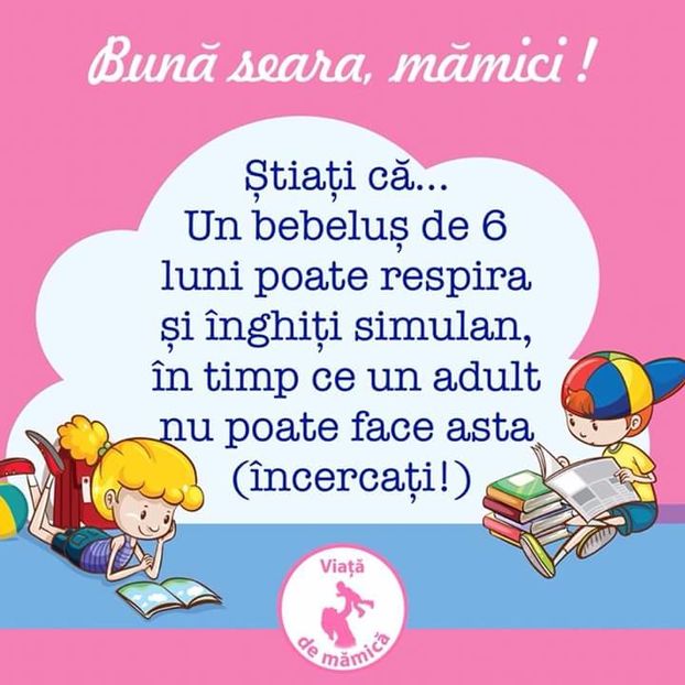  - Poze 2