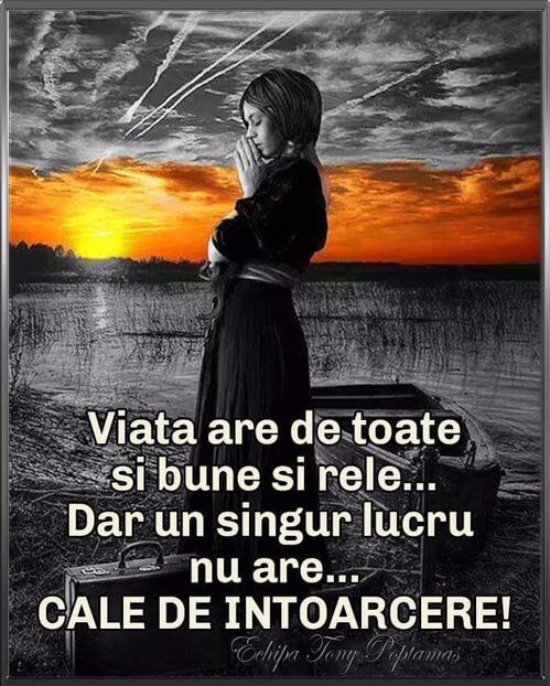  - Poze 2