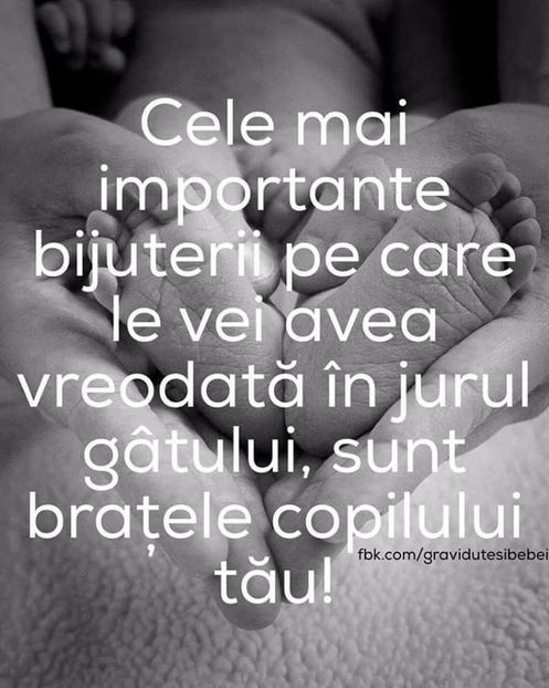  - Poze 2