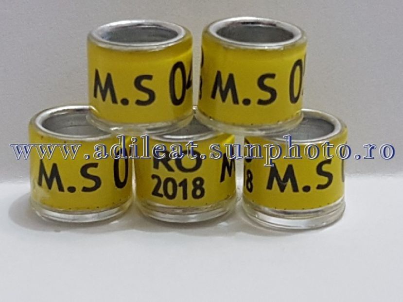 TextArt_180323191231 - 1-A-INELE PERSONALIZATE 2018