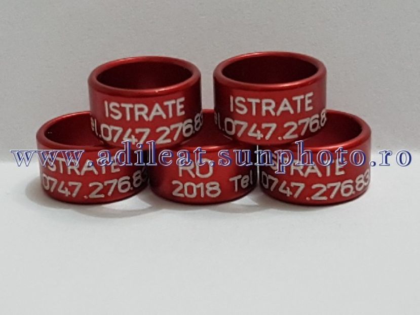 TextArt_180323191148 - 1-A-INELE PERSONALIZATE 2018