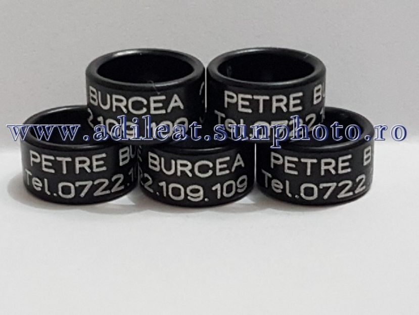 TextArt_180323191132 - 1-A-INELE PERSONALIZATE 2018