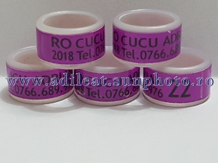 TextArt_180318205038 - 1-A-INELE PERSONALIZATE 2018