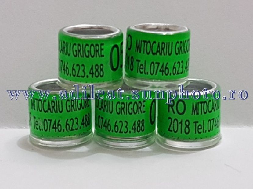 TextArt_180318205004 - 1-A-INELE PERSONALIZATE 2018