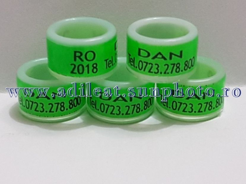 TextArt_180317225731 - 1-A-INELE PERSONALIZATE 2018