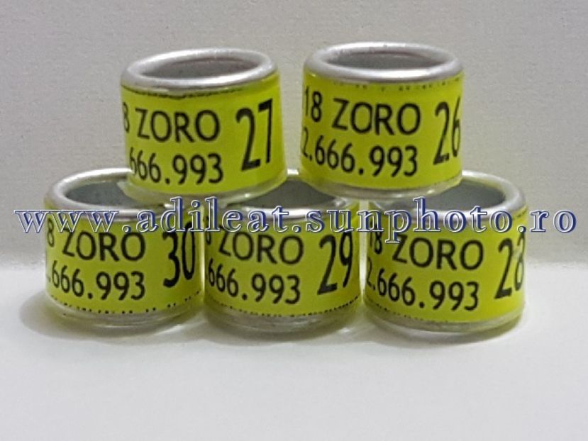 TextArt_180302210412 - 1-A-INELE PERSONALIZATE 2018