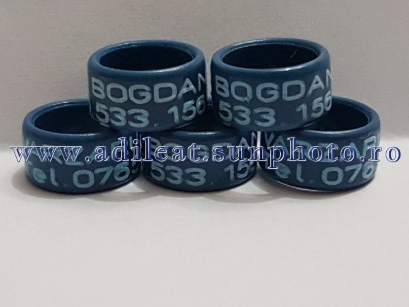 TextArt_180302210304 - 1-A-INELE PERSONALIZATE 2018