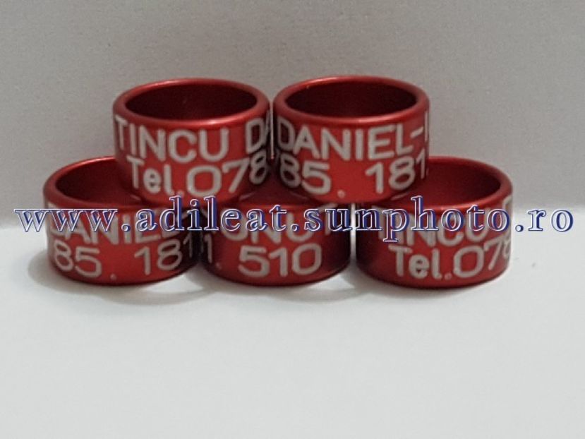 TextArt_180302210219 - 1-A-INELE PERSONALIZATE 2018