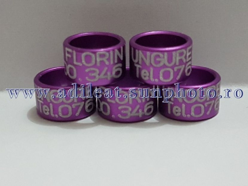 TextArt_180302210029 - 1-A-INELE PERSONALIZATE 2018