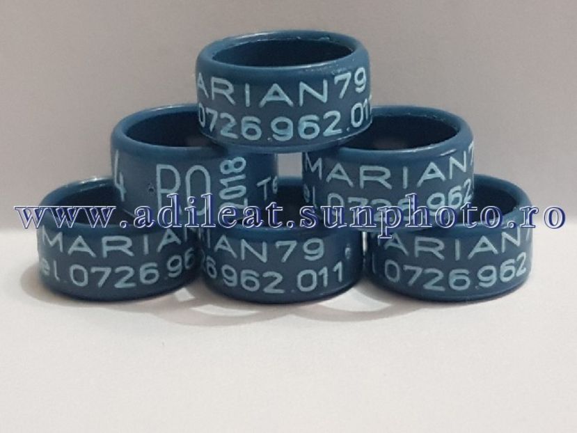 TextArt_180224144739 - 1-A-INELE PERSONALIZATE 2018