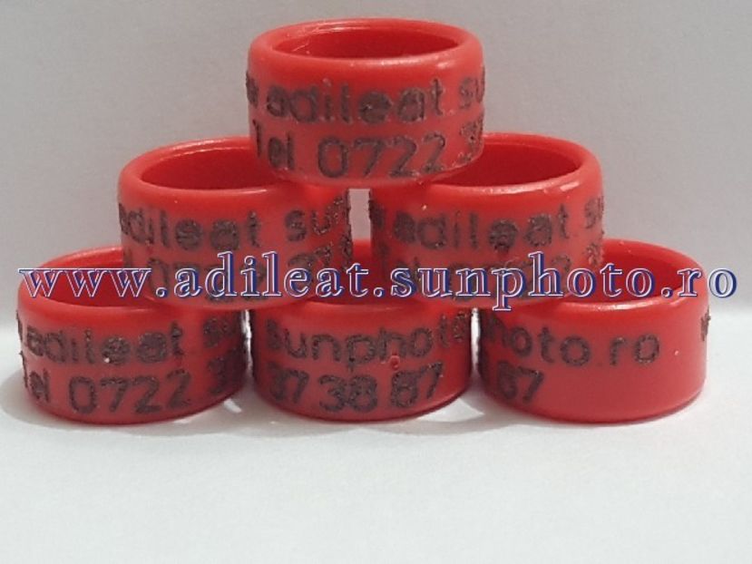 TextArt_180224144651 - 1-A-INELE PERSONALIZATE 2018