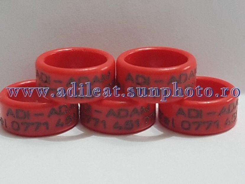 TextArt_180224144615 - 1-A-INELE PERSONALIZATE 2018