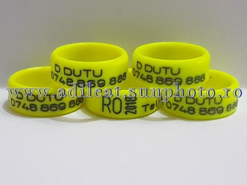 TextArt_180224144559 - 1-A-INELE PERSONALIZATE 2018