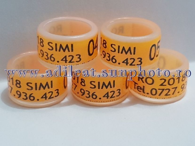 TextArt_180224144518 - 1-A-INELE PERSONALIZATE 2018