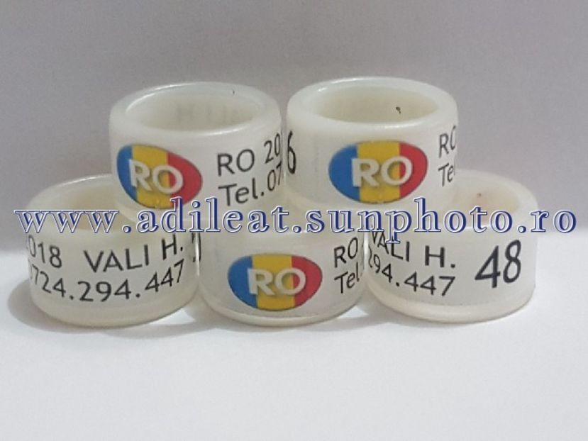 TextArt_180224144445 - 1-A-INELE PERSONALIZATE 2018