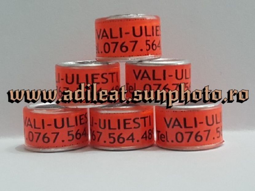 TextArt_180224144232 - 1-A-INELE PERSONALIZATE 2018