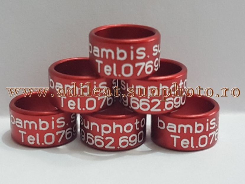 TextArt_180224143748 - 1-A-INELE PERSONALIZATE 2018