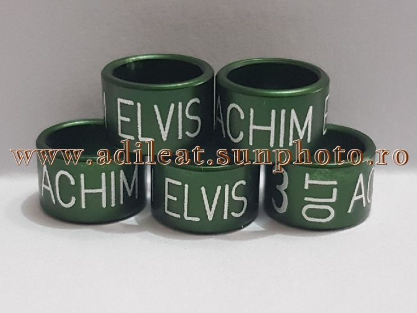 TextArt_180224143630 - 1-A-INELE PERSONALIZATE 2018