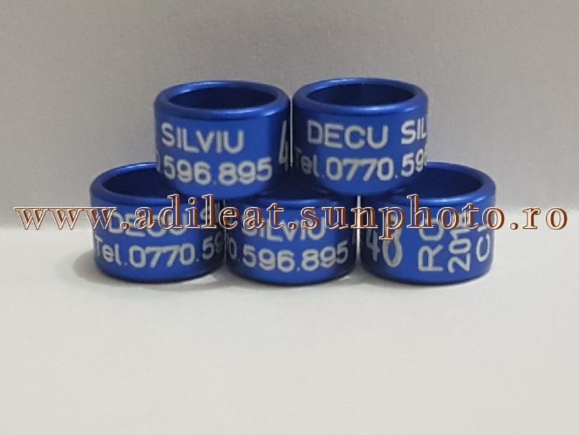 TextArt_180224143421 - 1-A-INELE PERSONALIZATE 2018