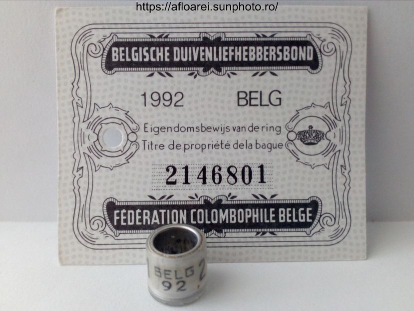 belg 92 - BELGIA-BELG