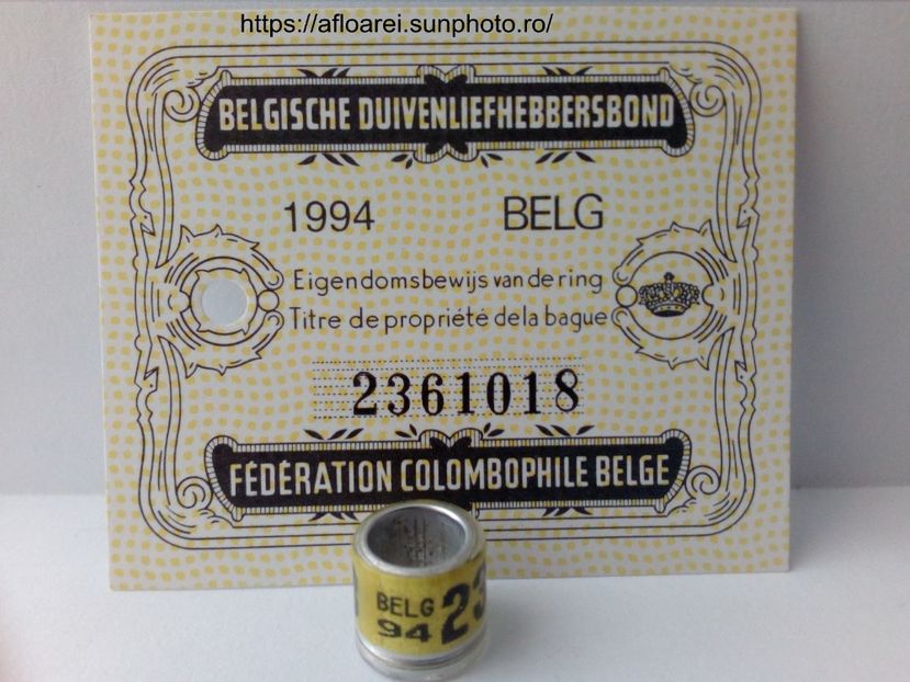 belg 94 - BELGIA-BELG