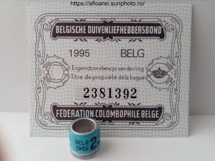 belg 95 - BELGIA-BELG