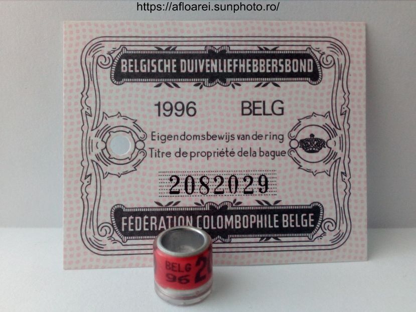 belg 96 - BELGIA-BELG