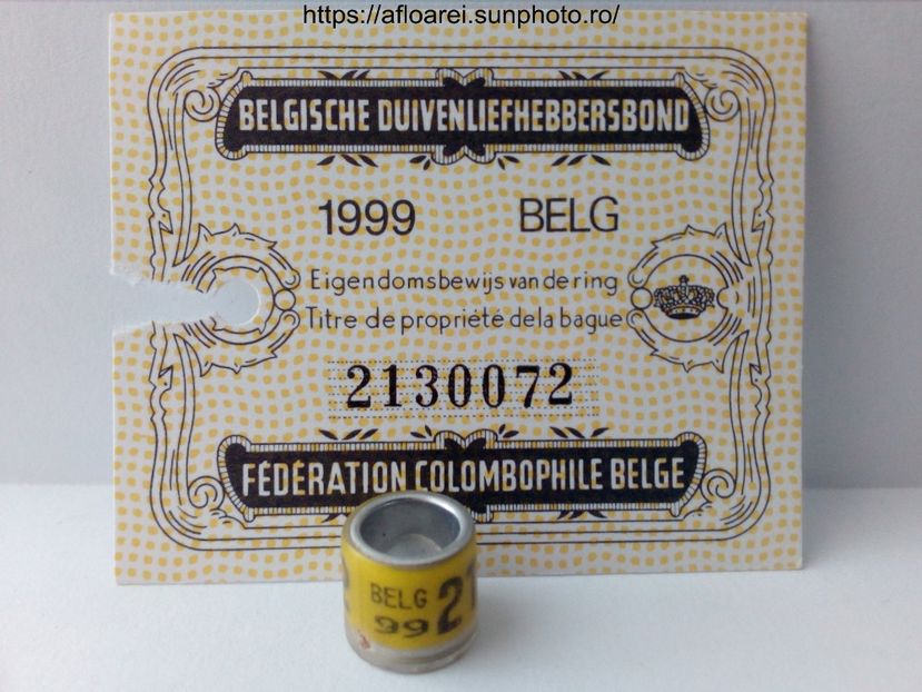 belg 99 - BELGIA-BELG